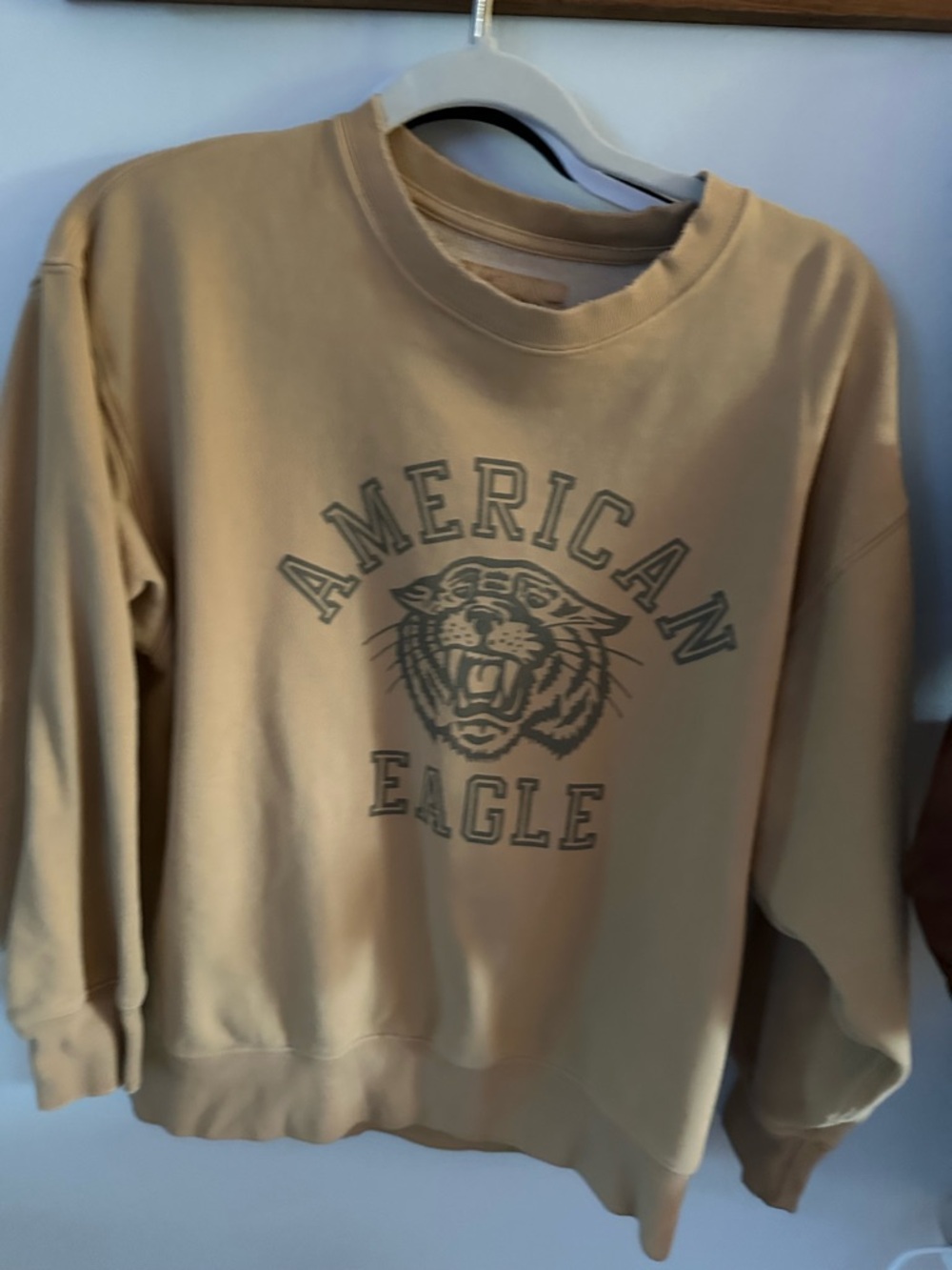 American Eagle Outfitters Womens Tiger Tan Graphic Sweatshirt-XS